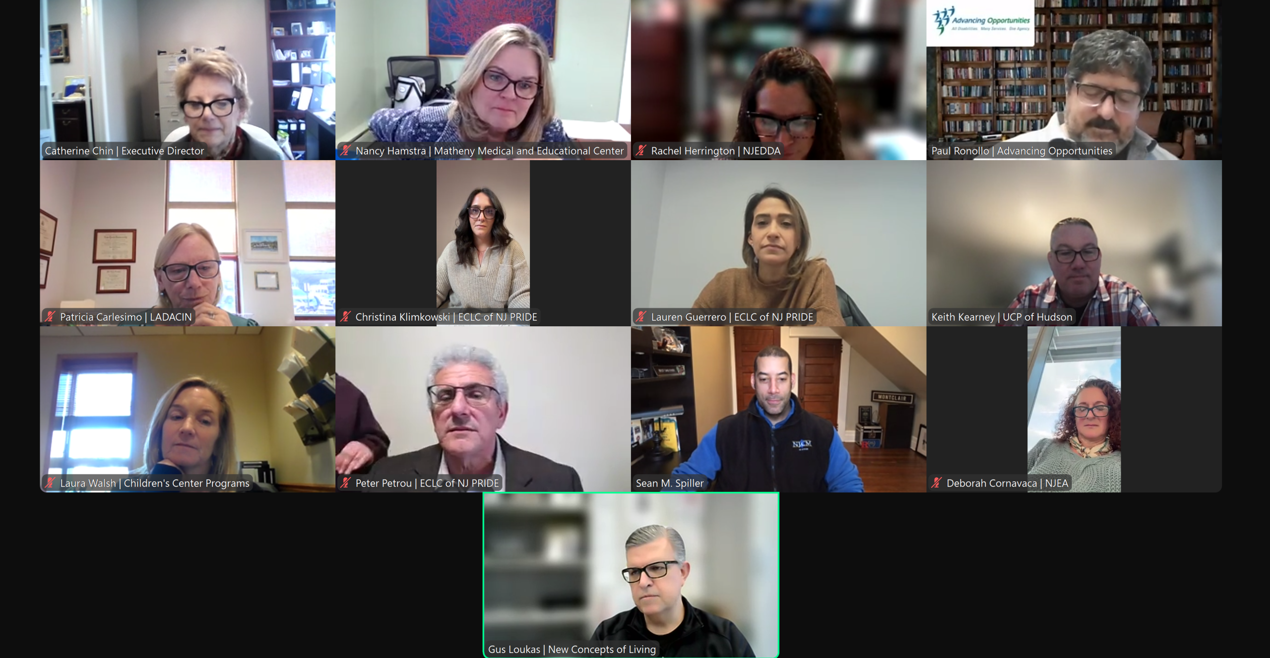 Screenshot of Zoom Meeting with Mayor Spiller